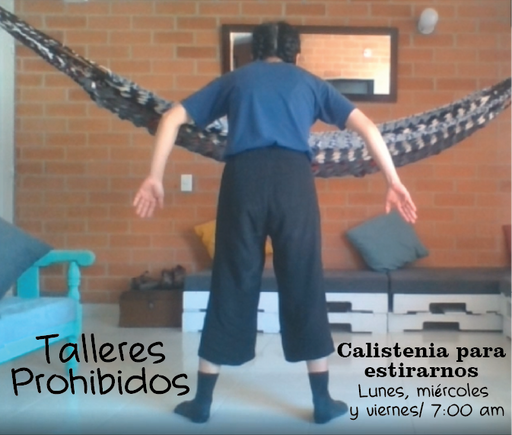 Taller calistenia